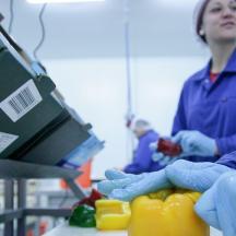 Regenbogen Arbeit - In der Produktion